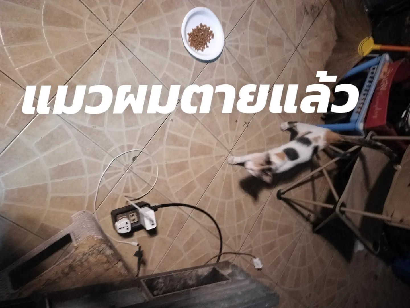 @เคอาร์