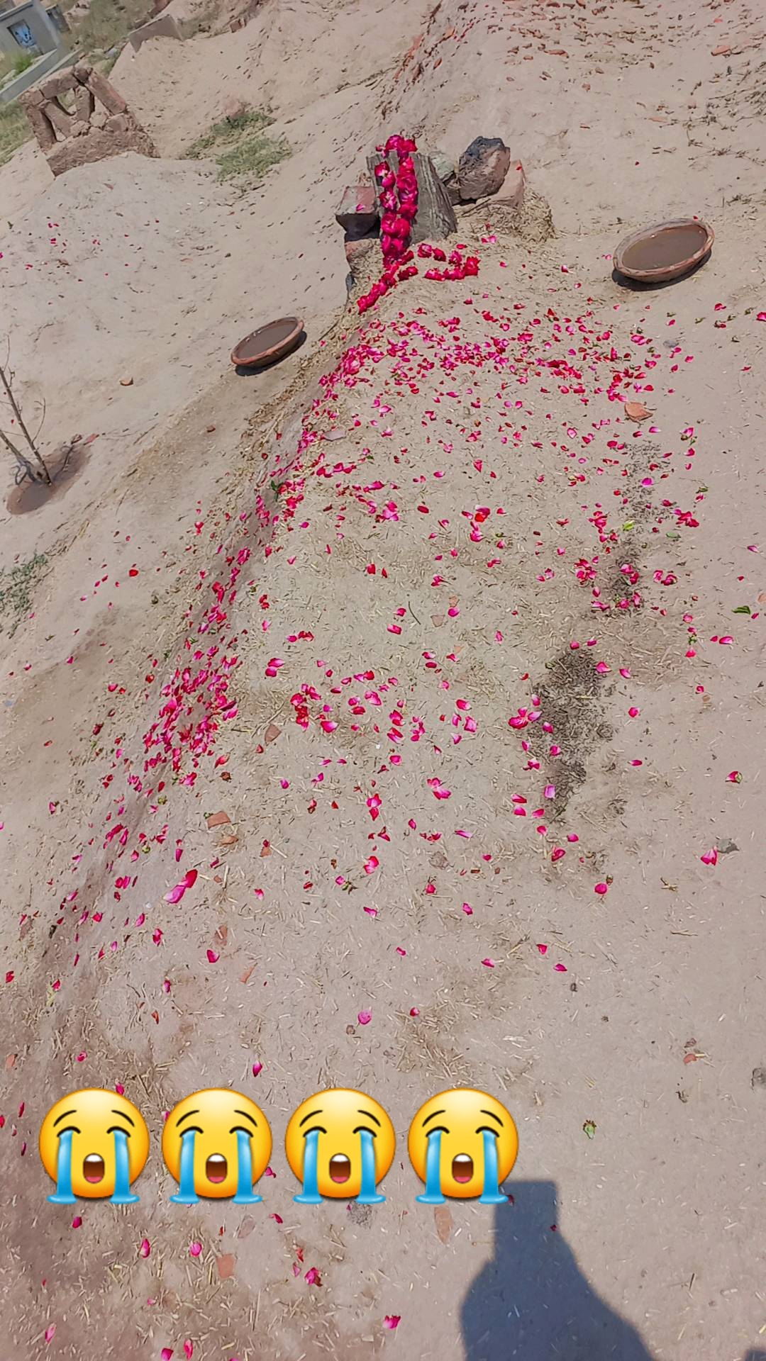 @Irfan laliya 🇵🇰