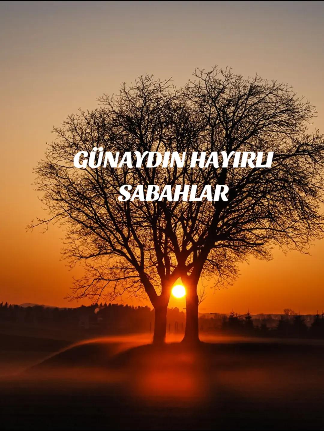 @Hasan Yılmaz