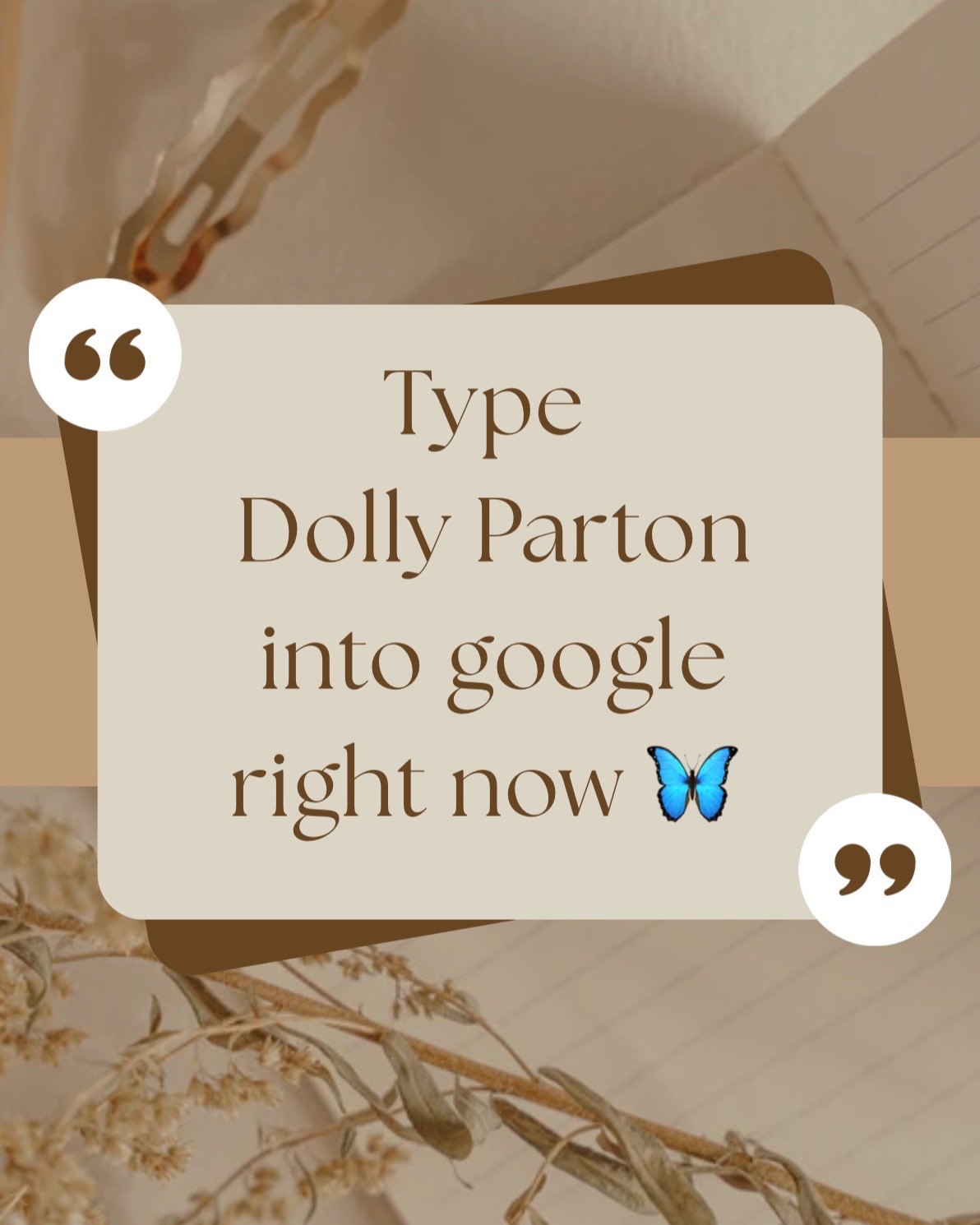 @𝕌𝕟𝕔𝕠𝕞𝕞𝕠𝕟 𝕂𝕒𝕣𝕖𝕟🌻