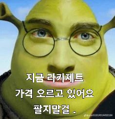 @피모하는도지