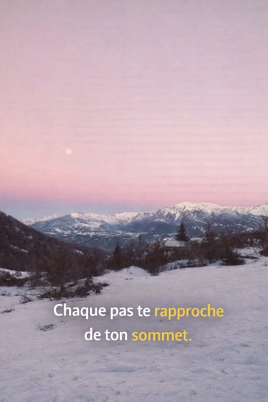 @LA V&Eacute;RIT&Eacute; 〽️