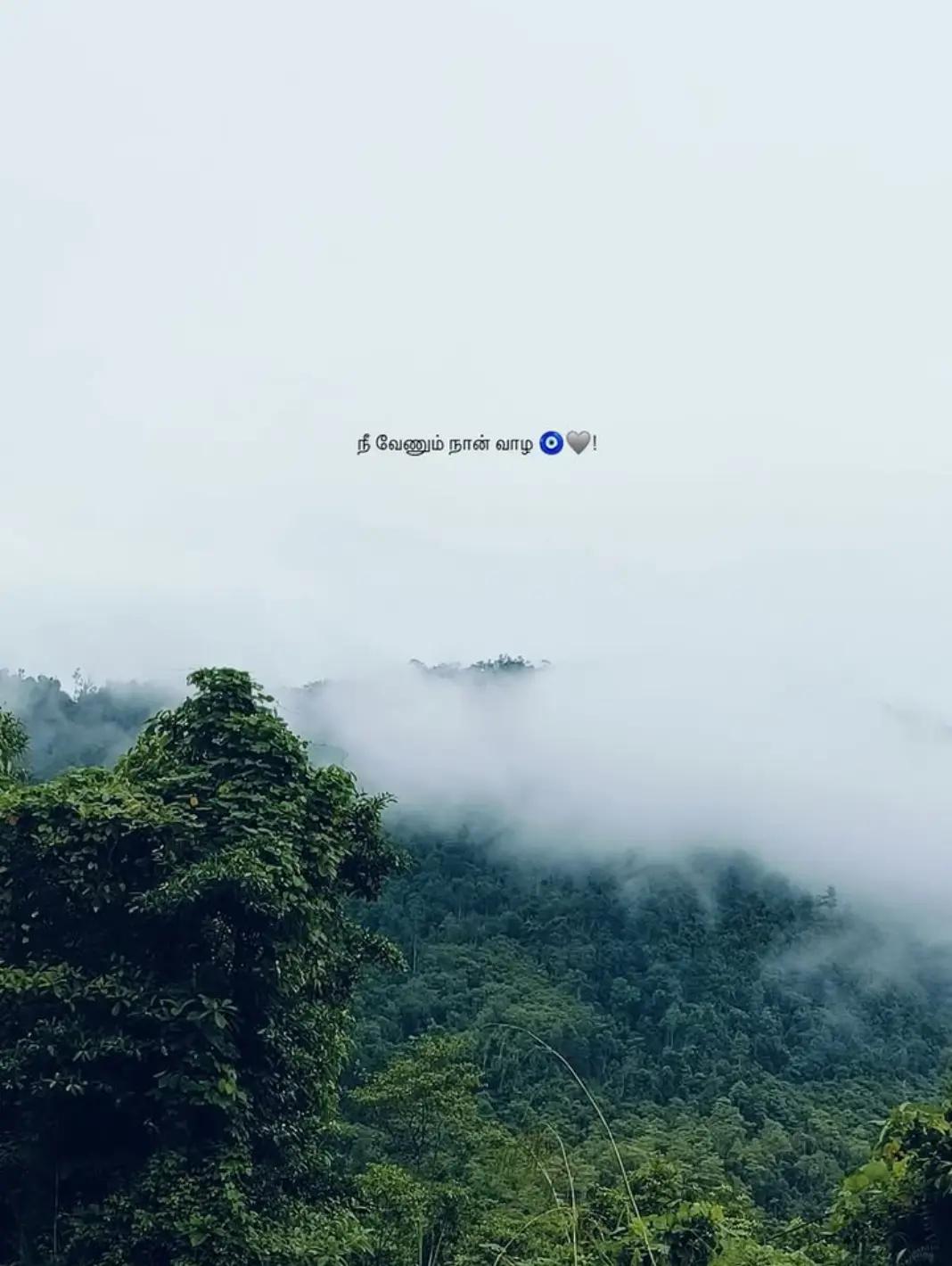 @༆నేష్彡