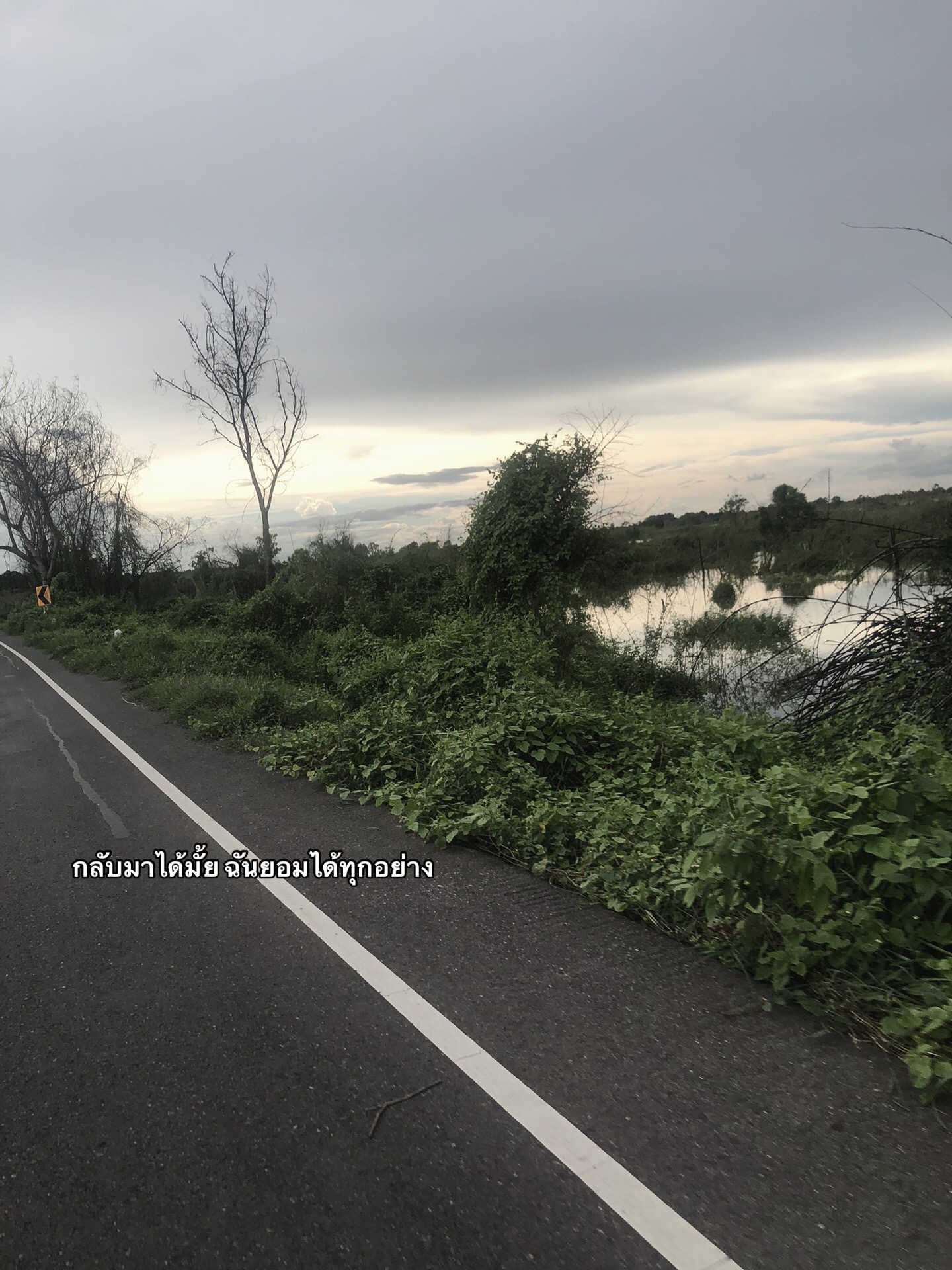 @นิภาพร ฯ.