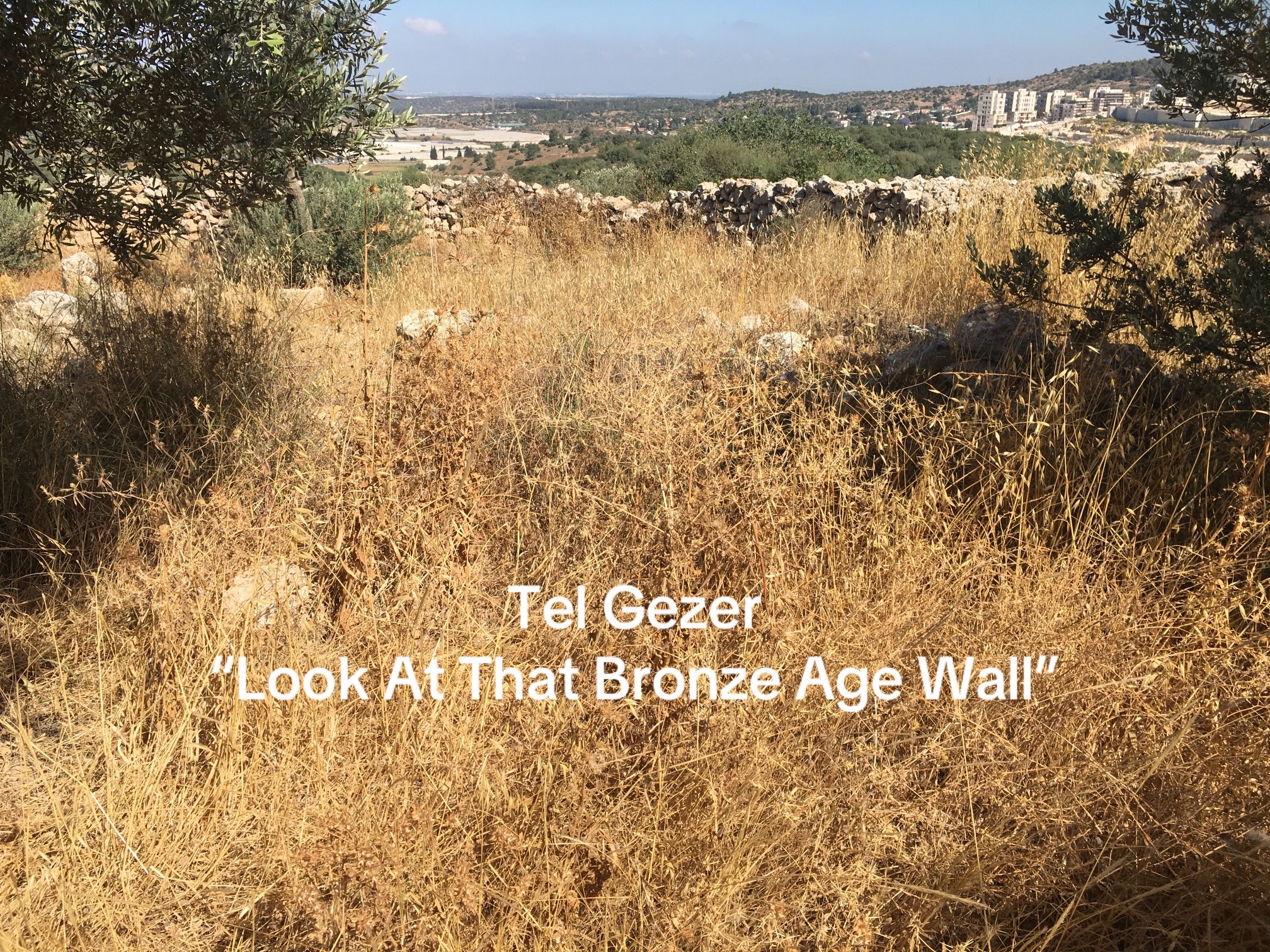 @Torah Archaeology