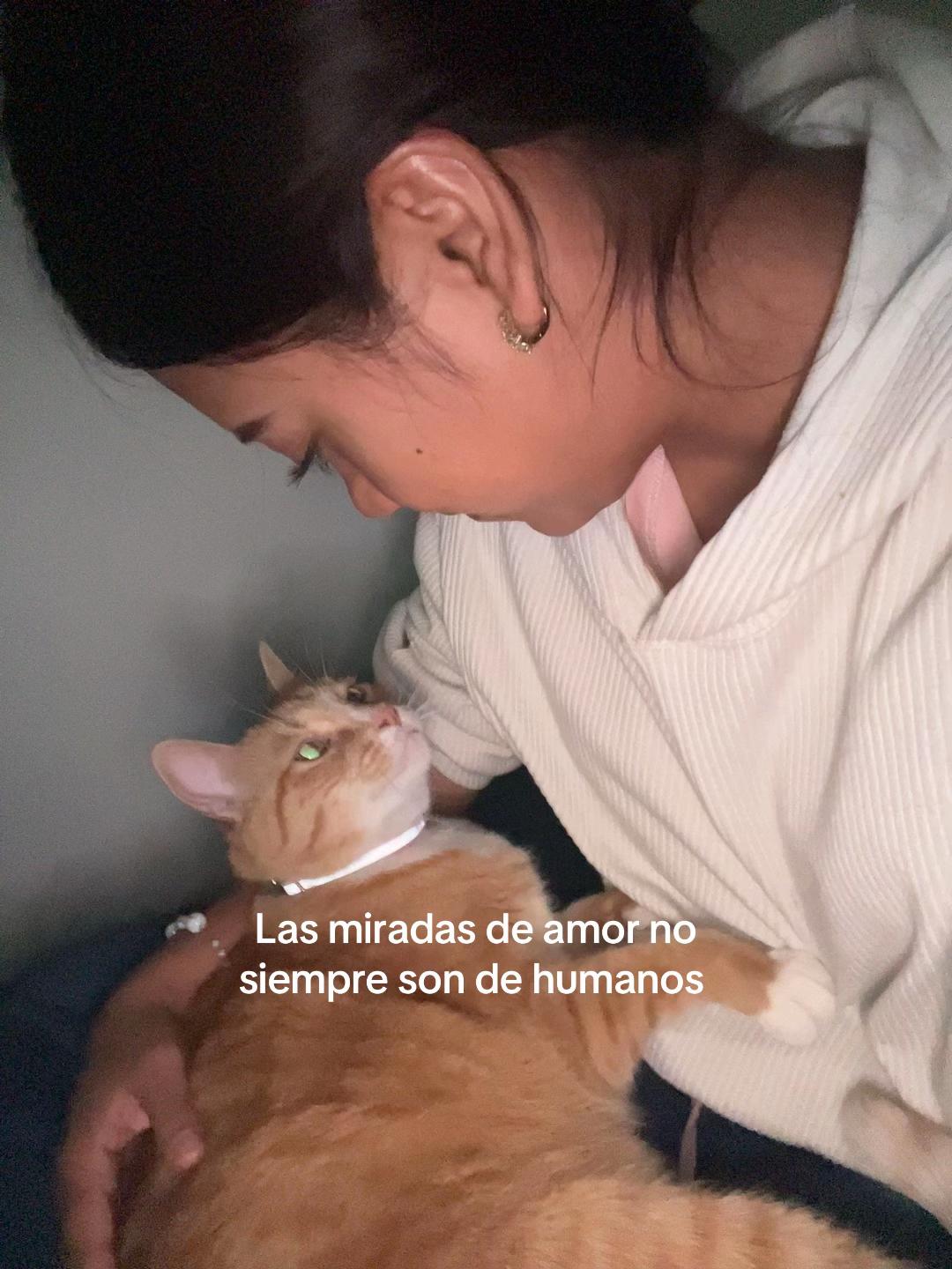 @Nani