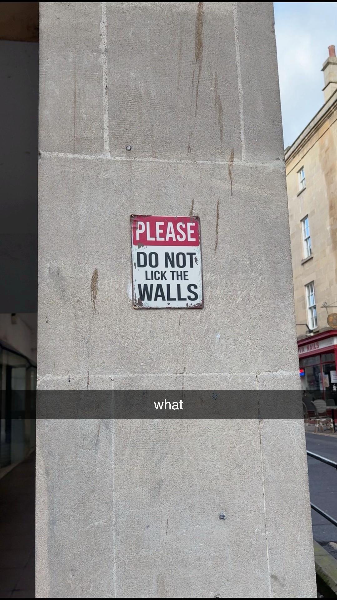 @felix