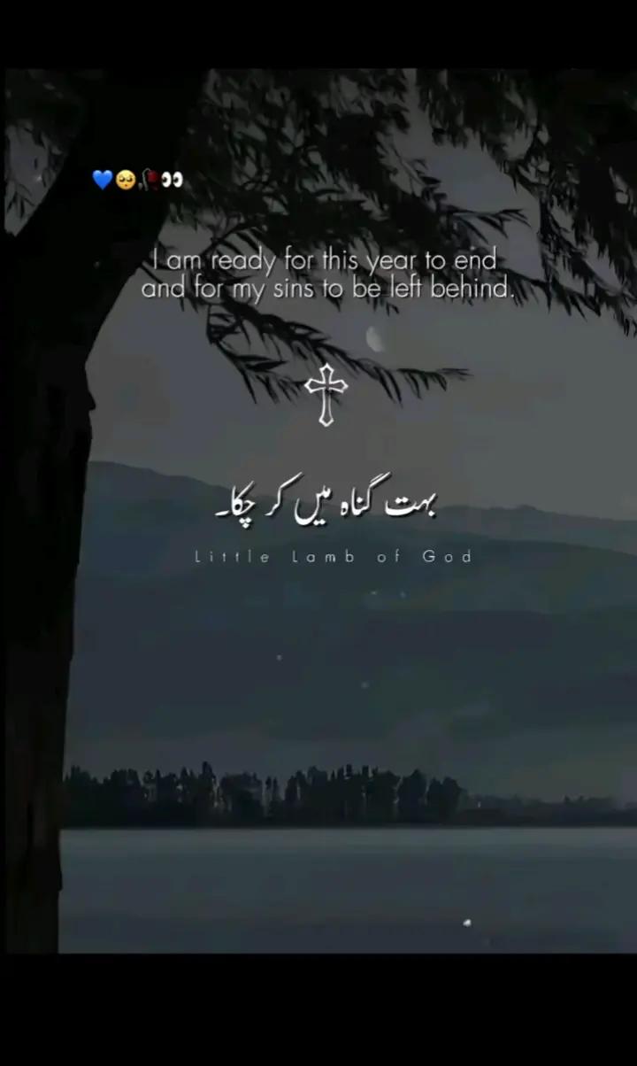 @KHOKHER QUEEN 👑 296 (◕ᴗ◕✿)