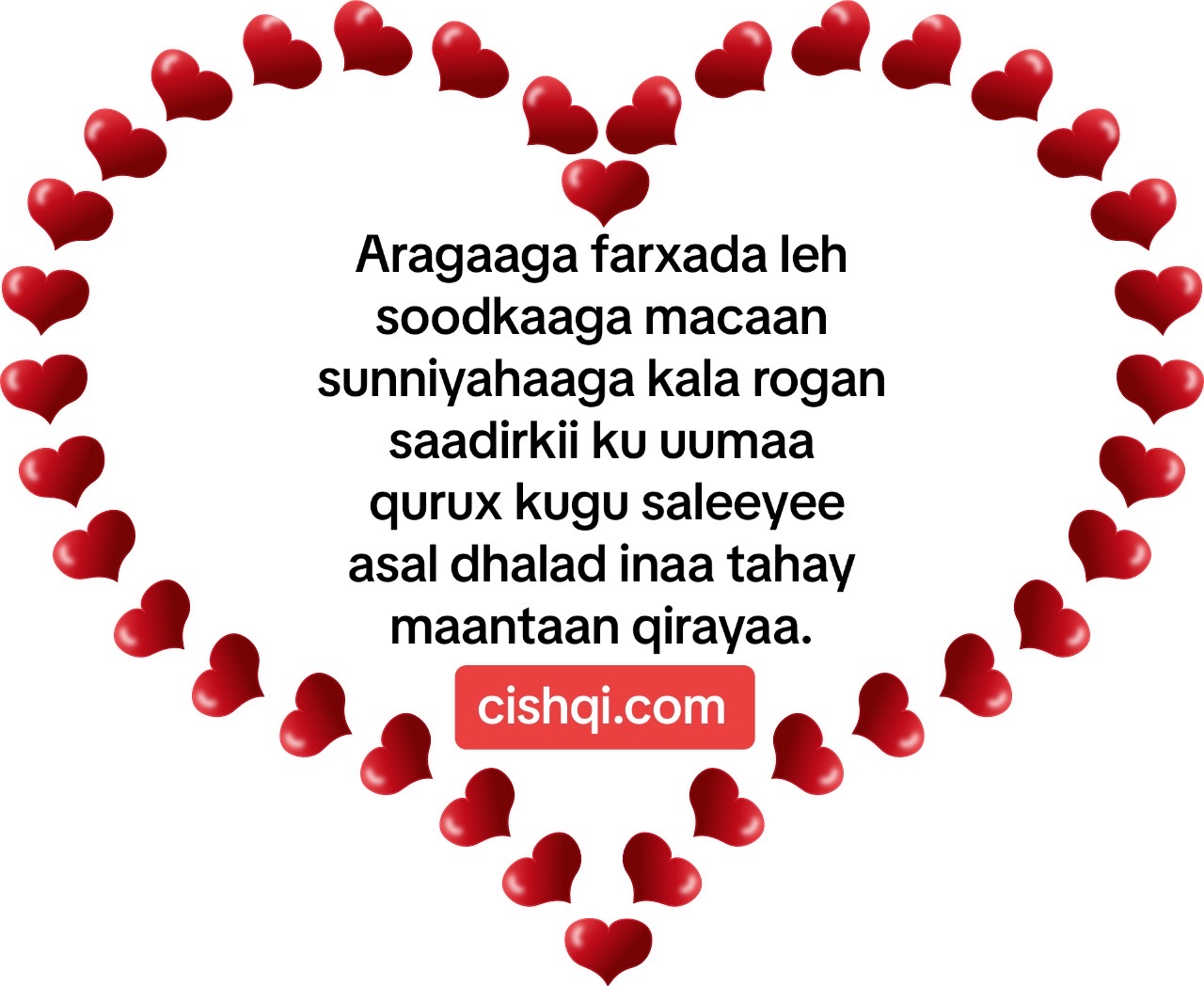 @CISHQI