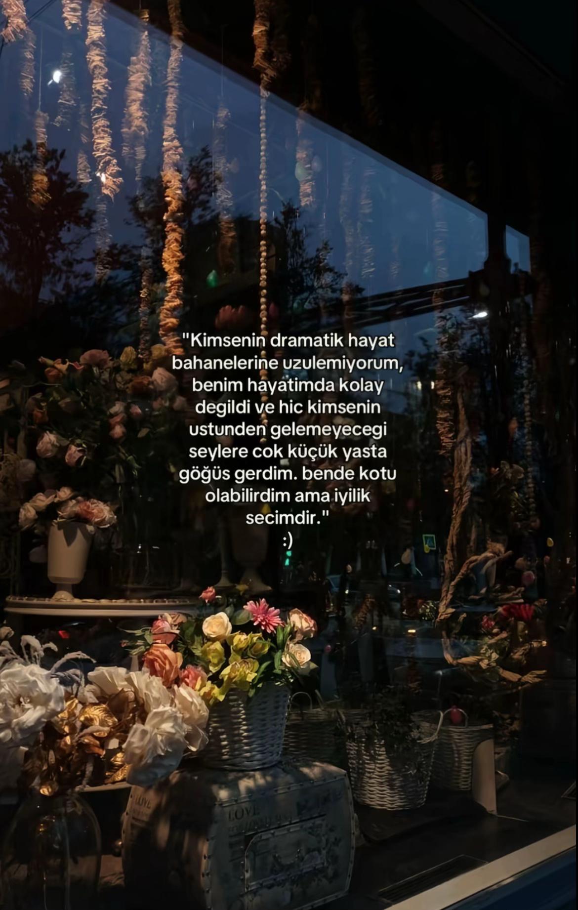 @BirCümleBirHis