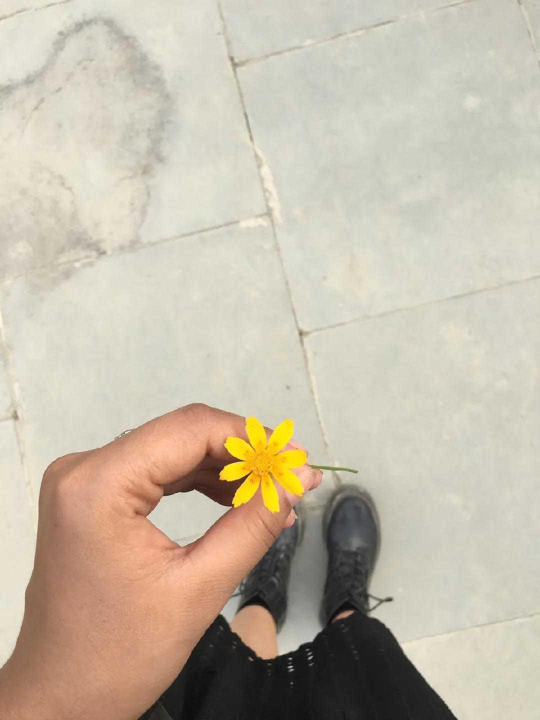 @Aaeeuu