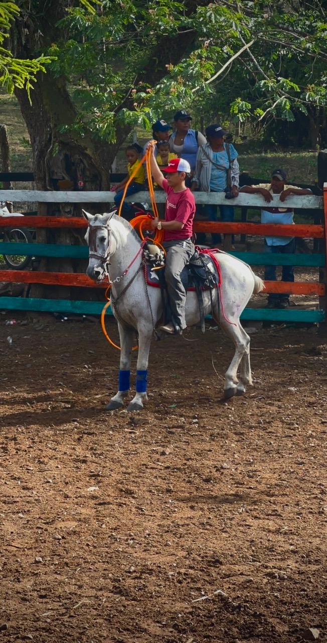 @Adolfo Díaz🤠