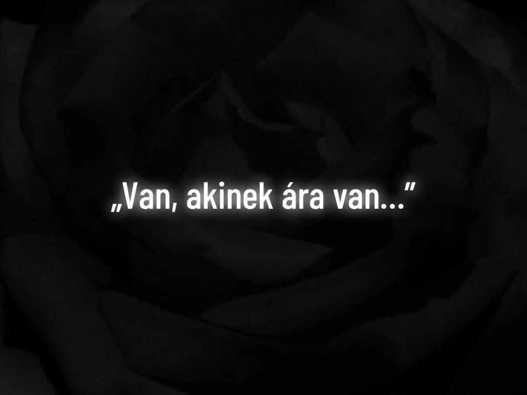 @Jani