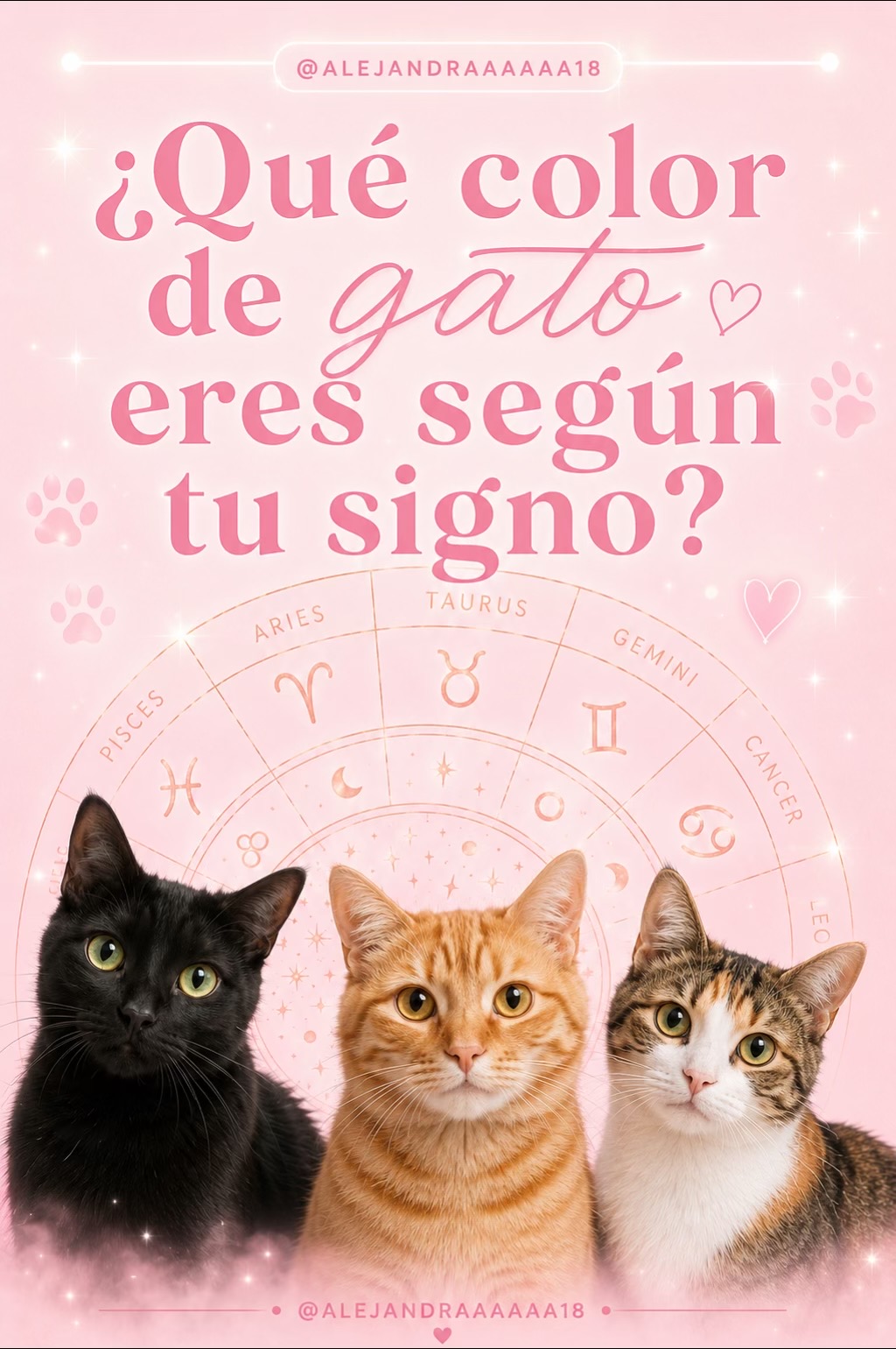 @- Alejandra 🐱💕