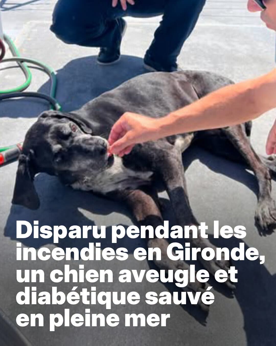 @BelleBoby62