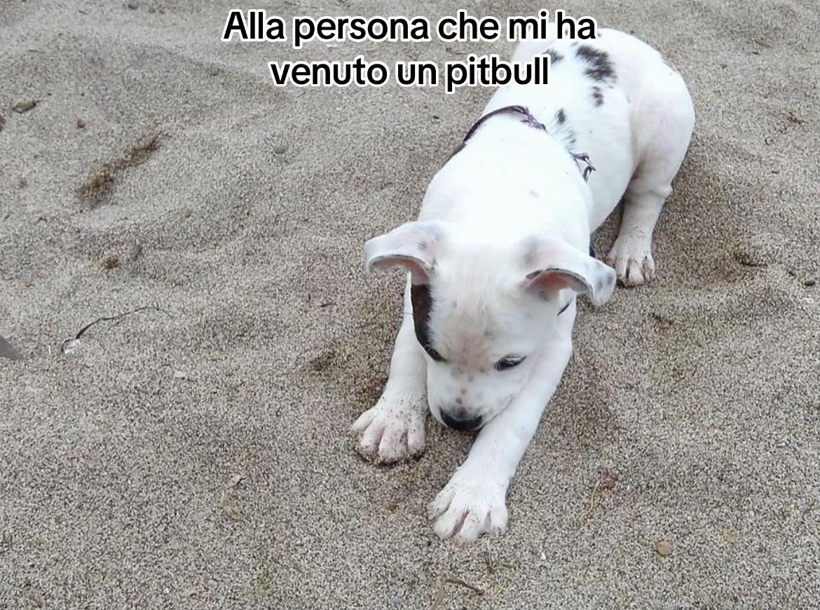 @𝓕 𝓖