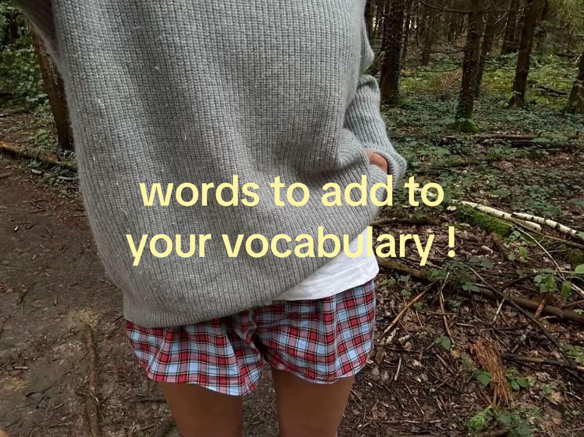 @mimi 🪽