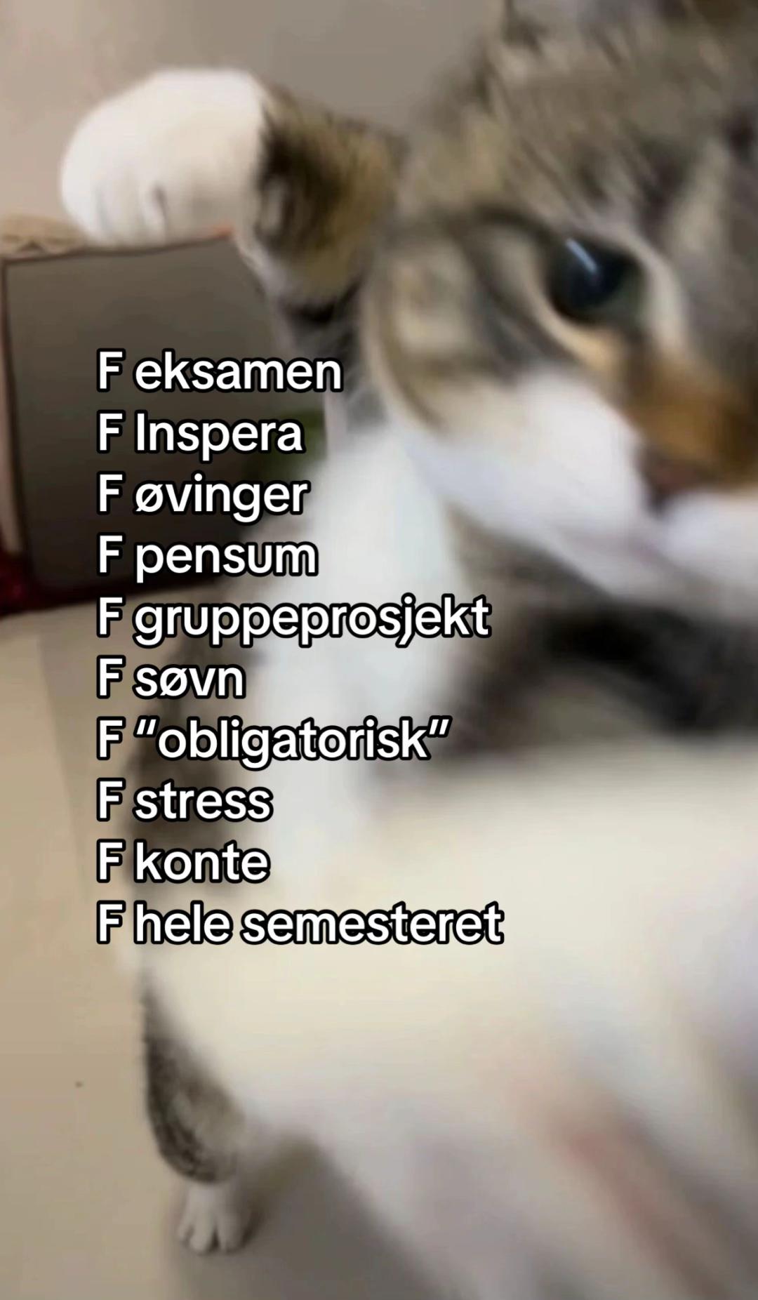@NTNU Teknologi og realfag