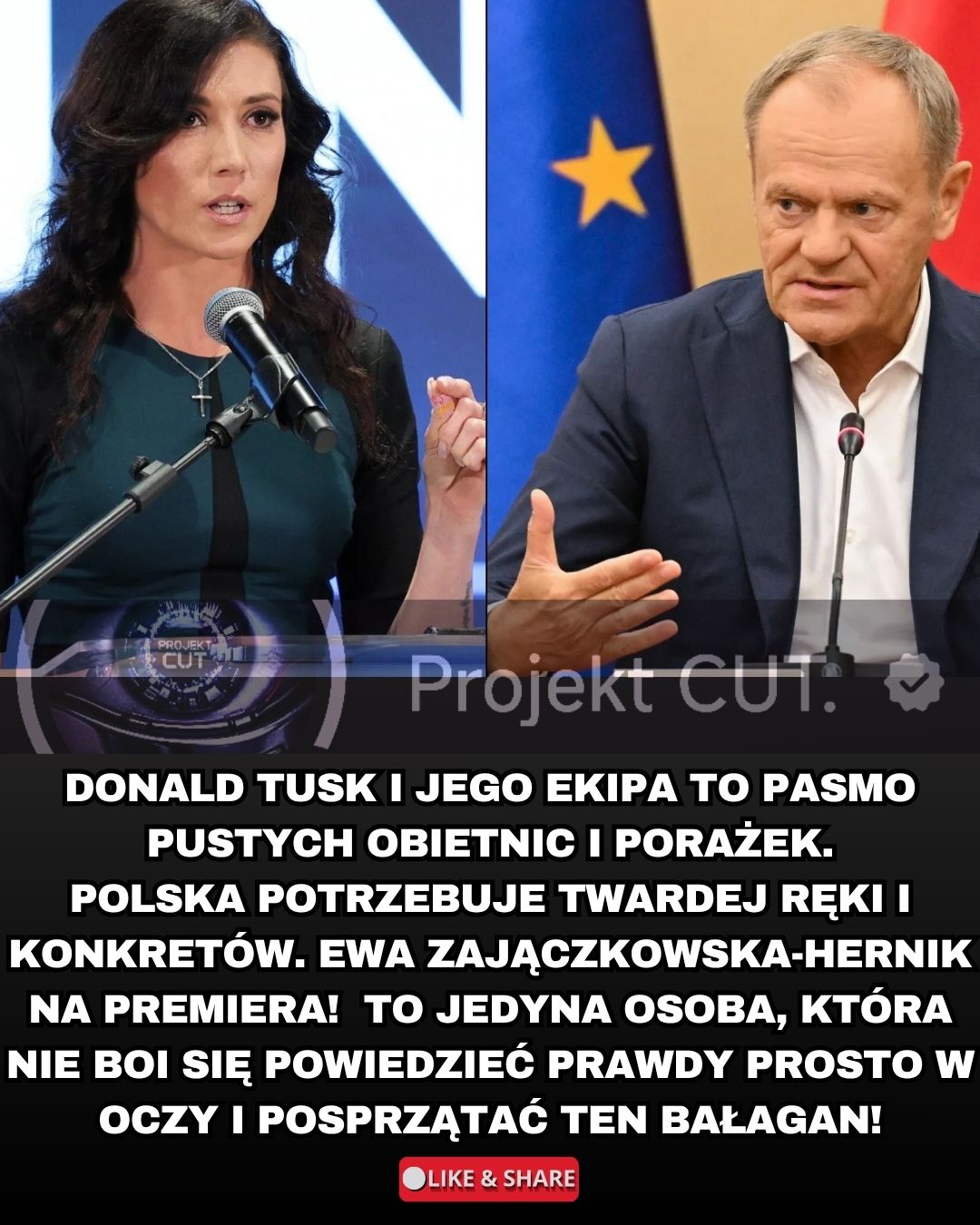 @Projekt CUT.