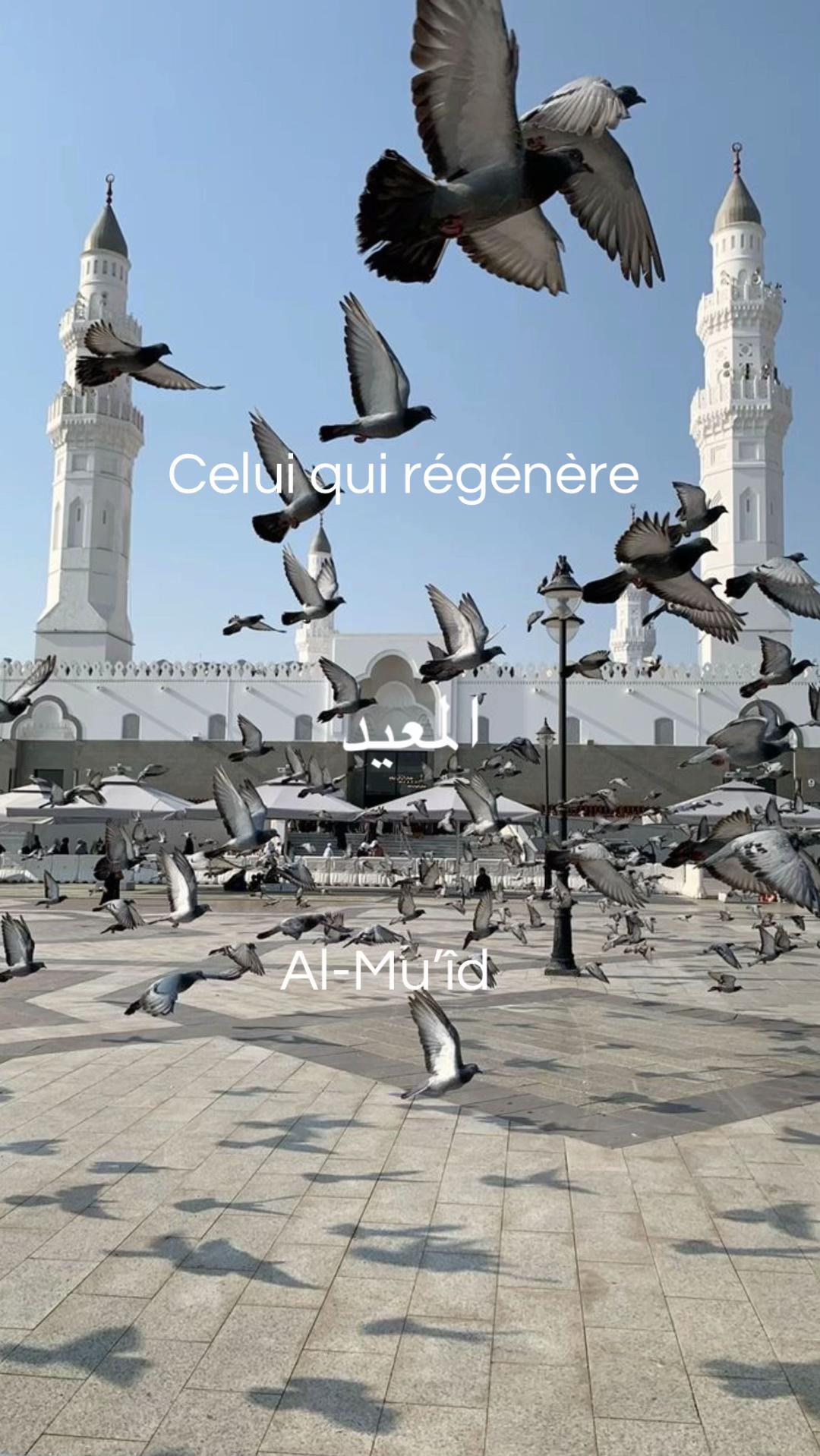 @Nuriyah 🤍