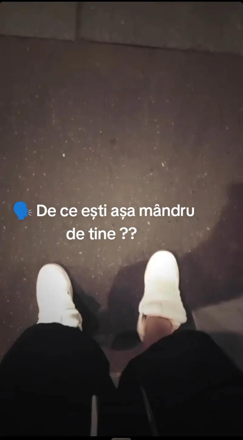 @ALEXANDRU