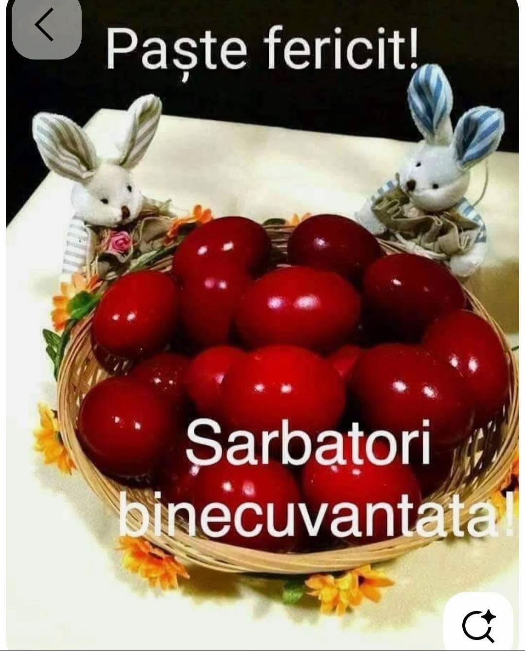 @Virginia Topliceanu
