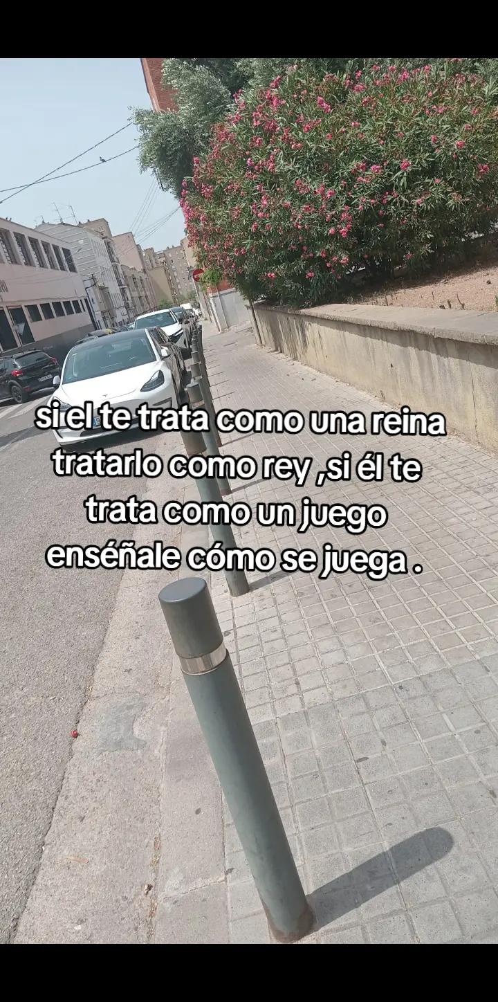 @⚜️
