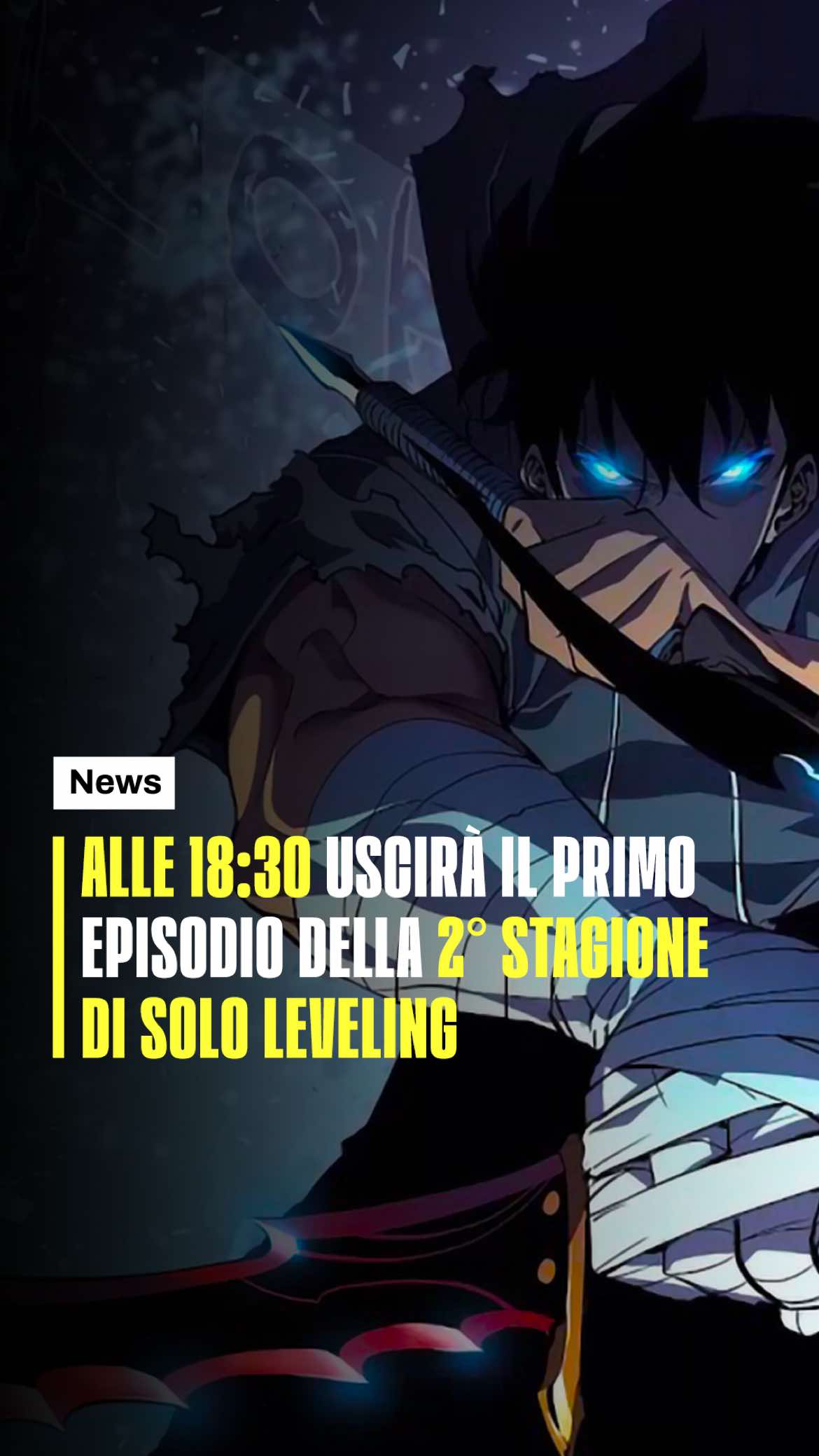 @Anima dell’Animazione