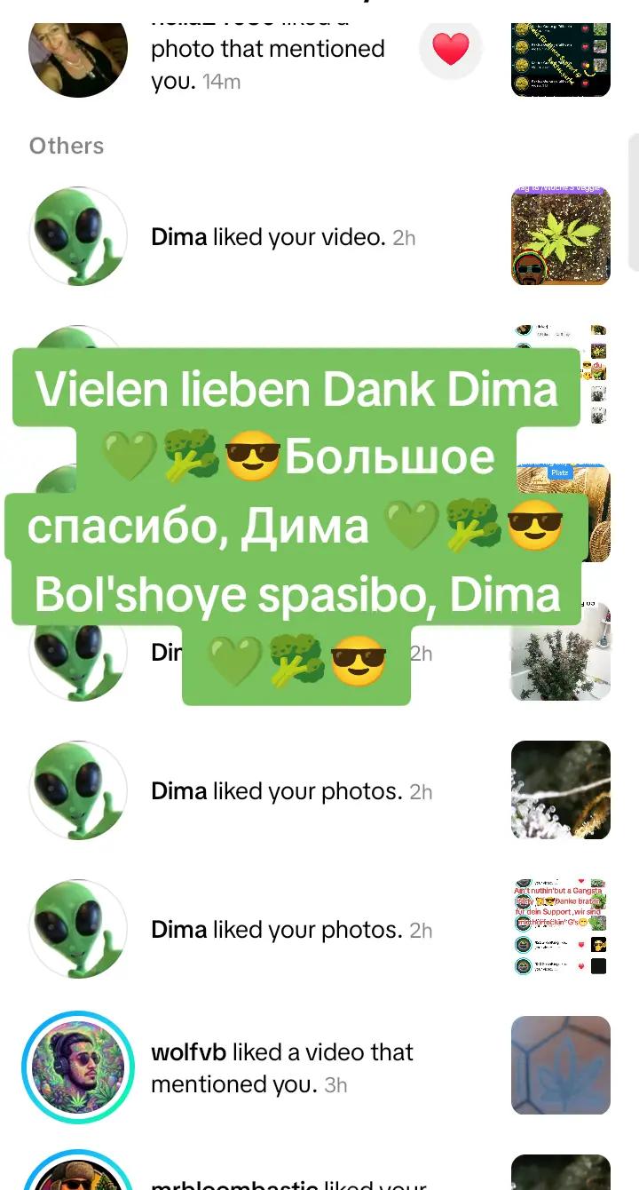 @420_Kaktus.Gurke_69