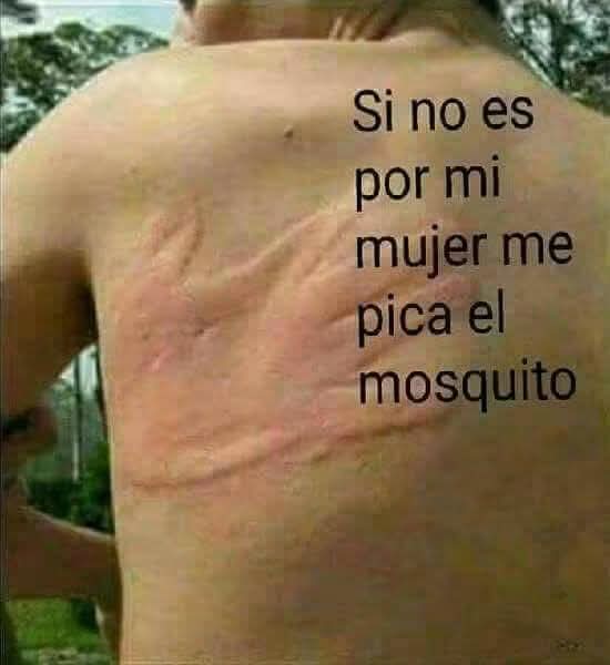 @iakihurtad
