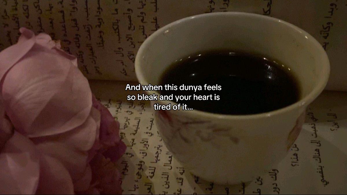 @مؤمن ☕︎