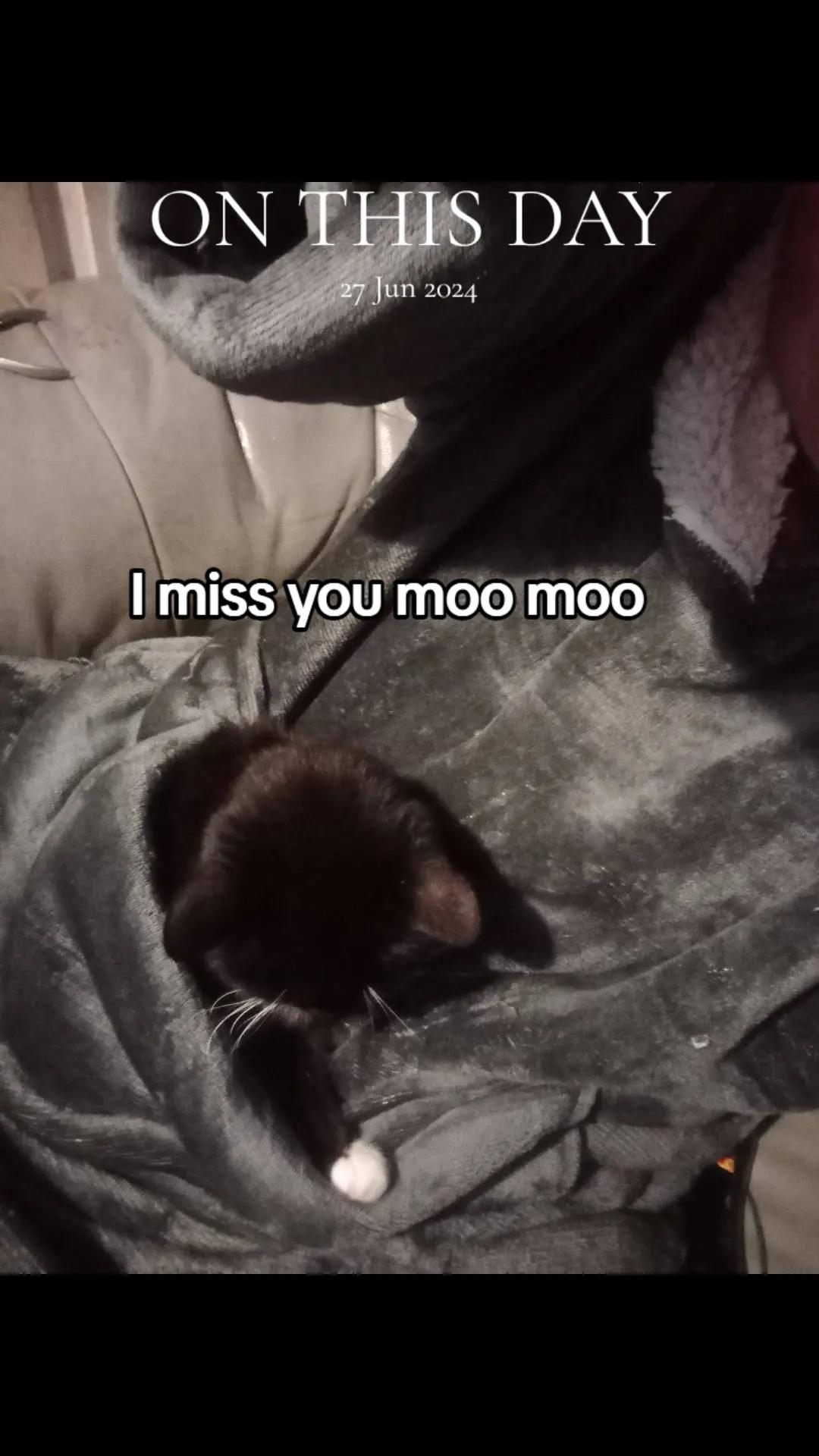 @MrsH. backup