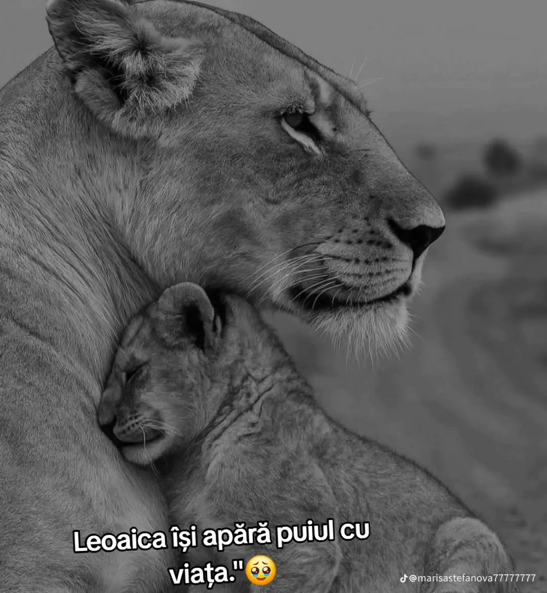 @andreea_mirea_24🖤