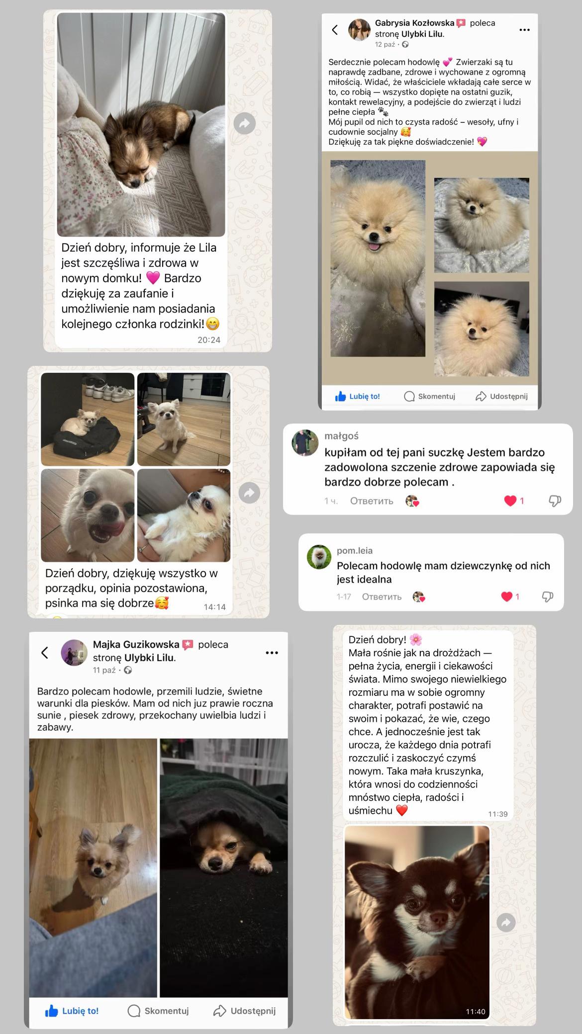 @Ulybki_lilu