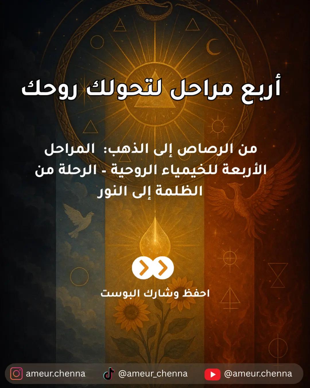 @Ameur Chenna | عامر شنة
