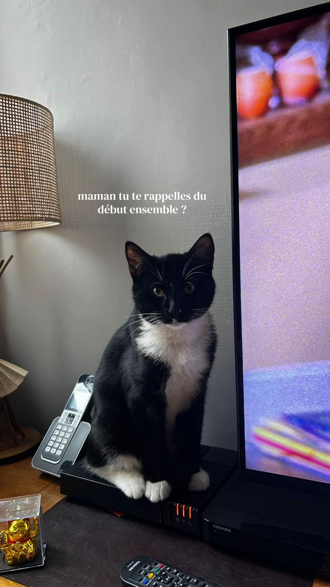 @𝑳𝒐𝒖𝒊𝒔𝒂𝒂𝒂