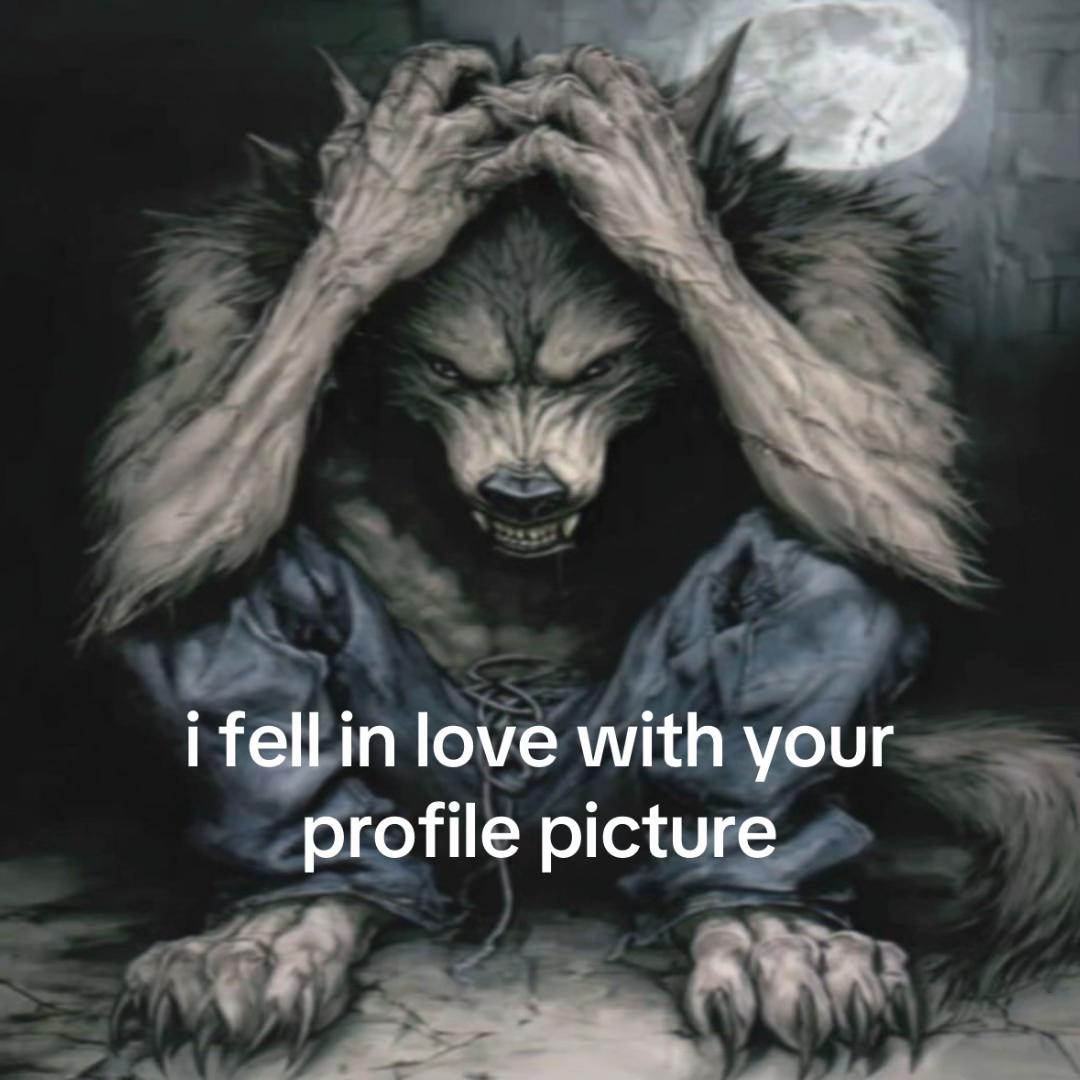 @Sofiia