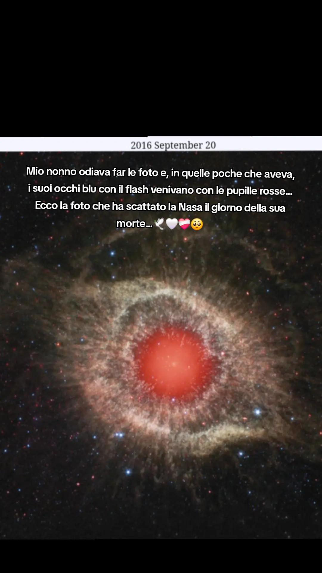 @Eleonora 🤍🖤