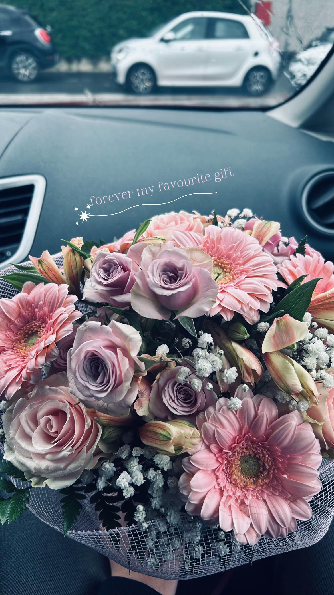 @Ginevra メ𝟶