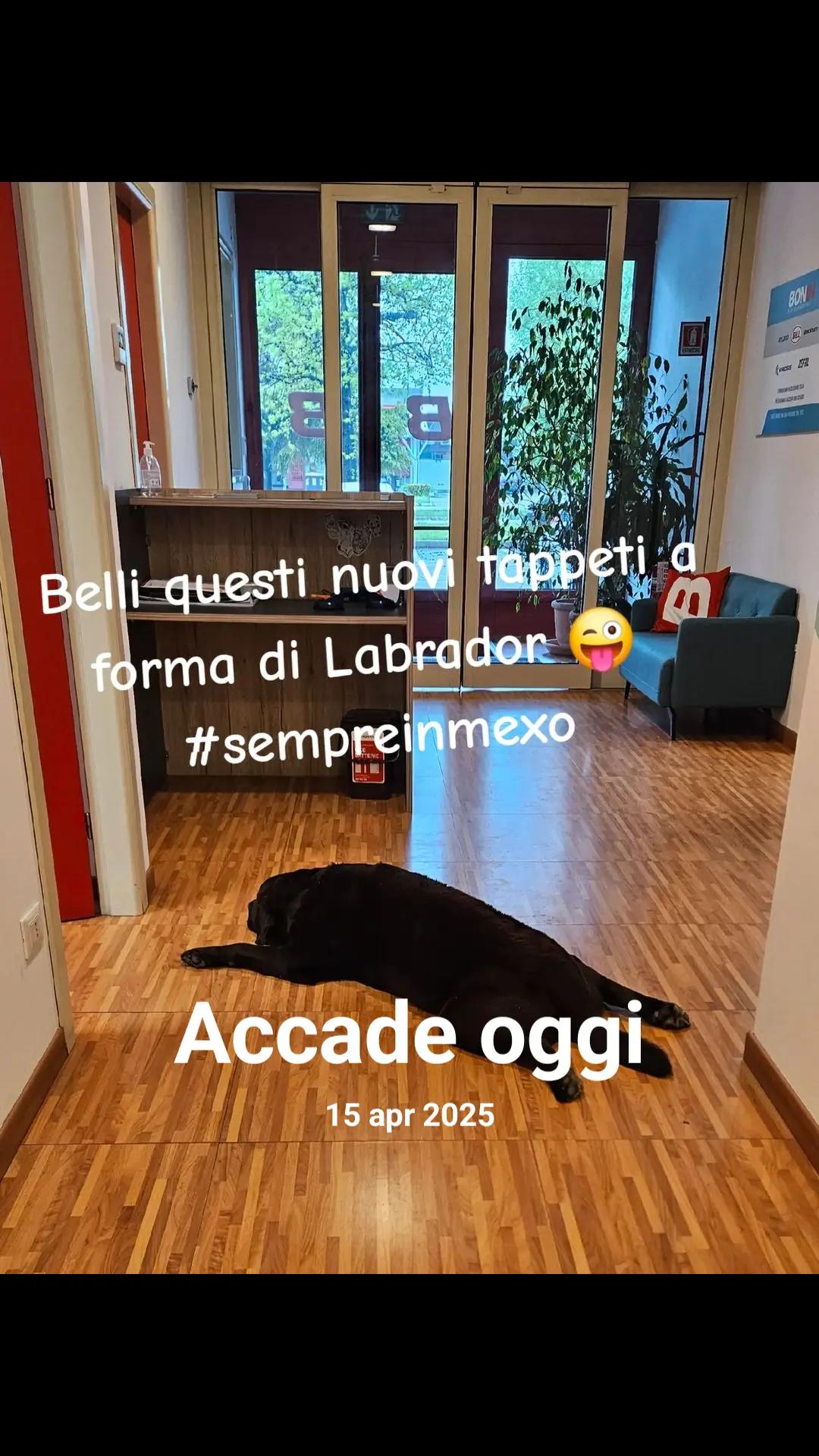 @Sax_Les