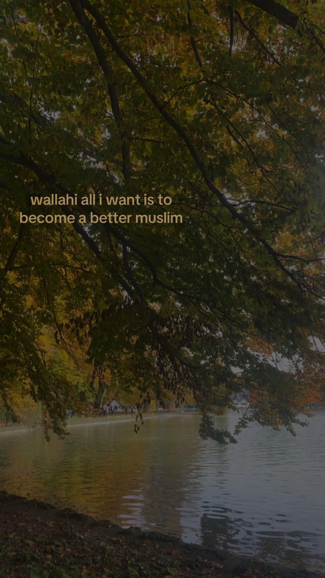 @🇦🇱