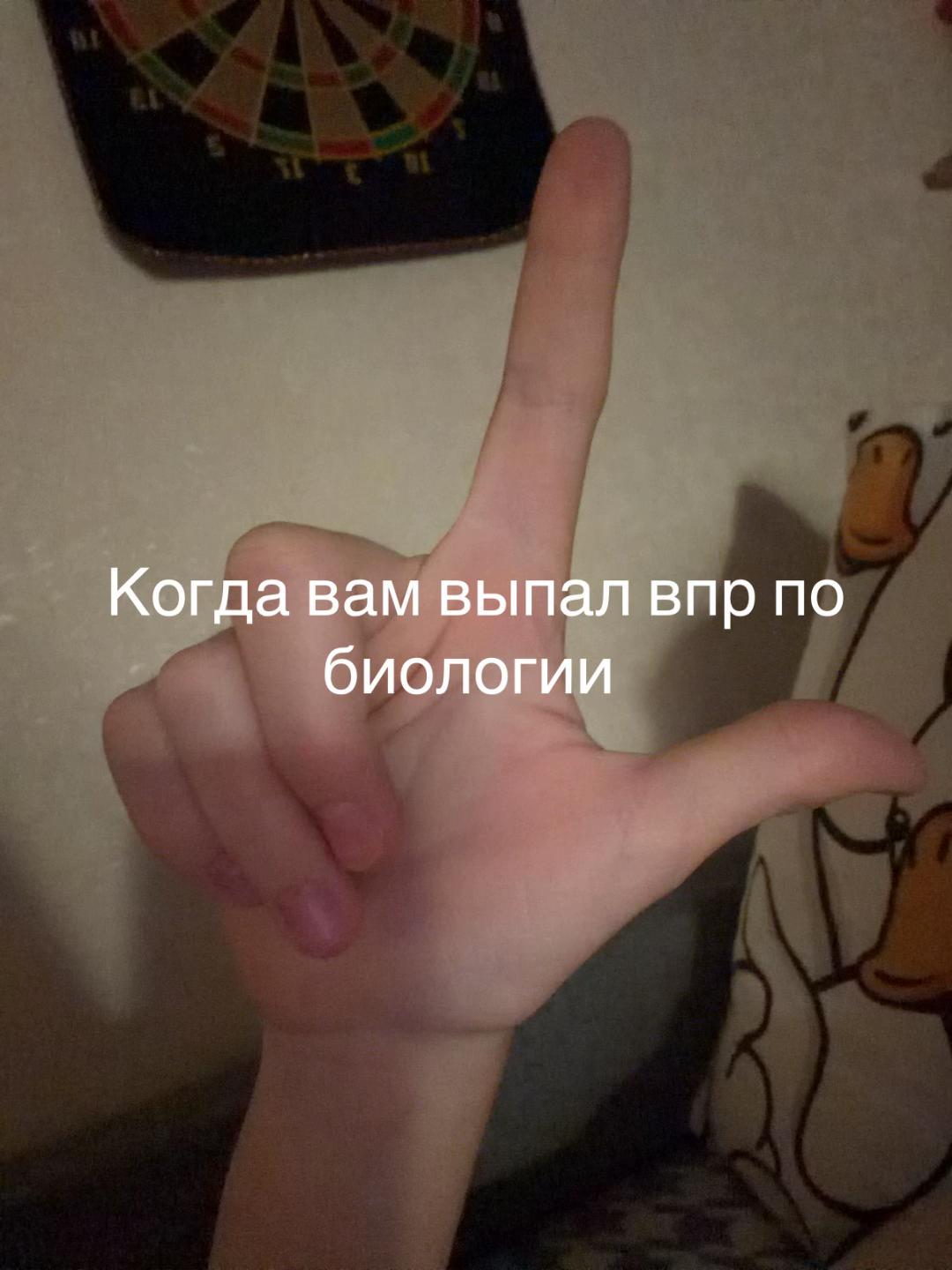 @kat.xx🪽
