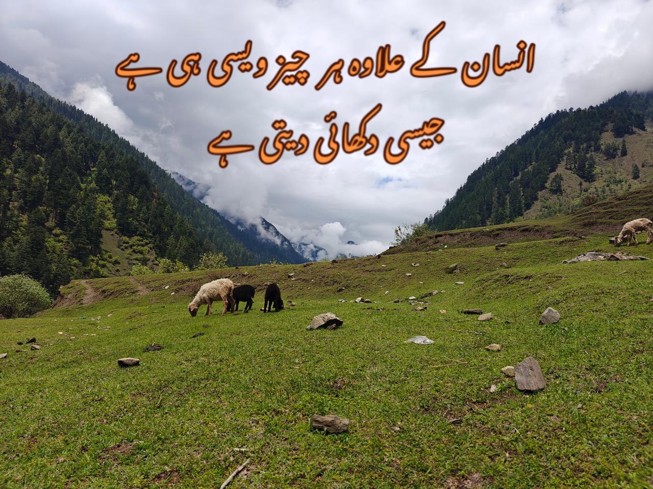 @baazmarealm