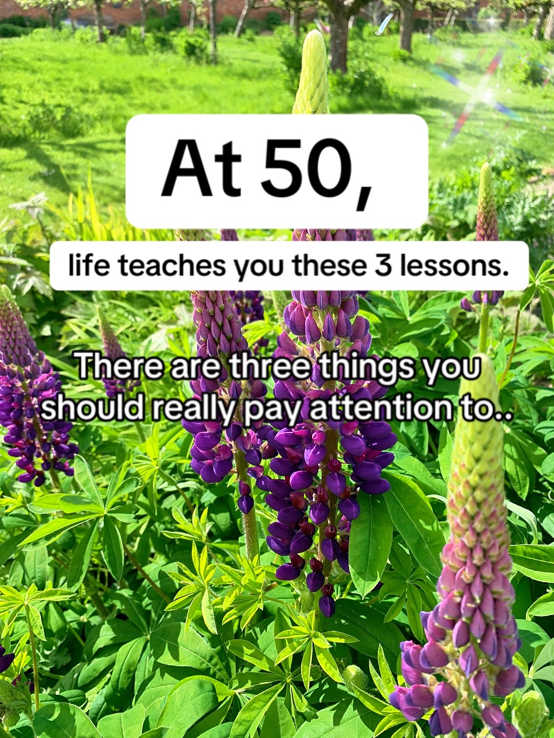@Positive Path | Women 50+ 🌸