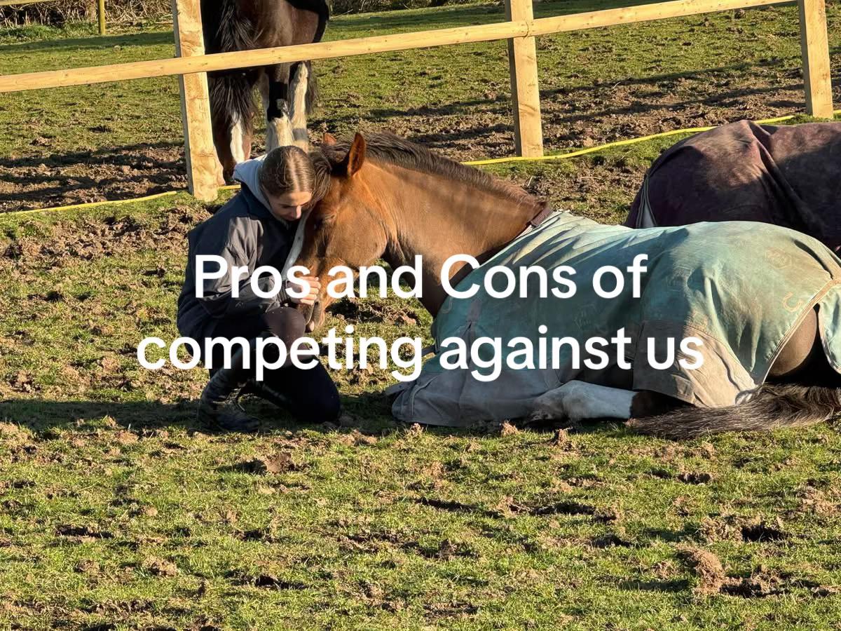 @🐎🤭