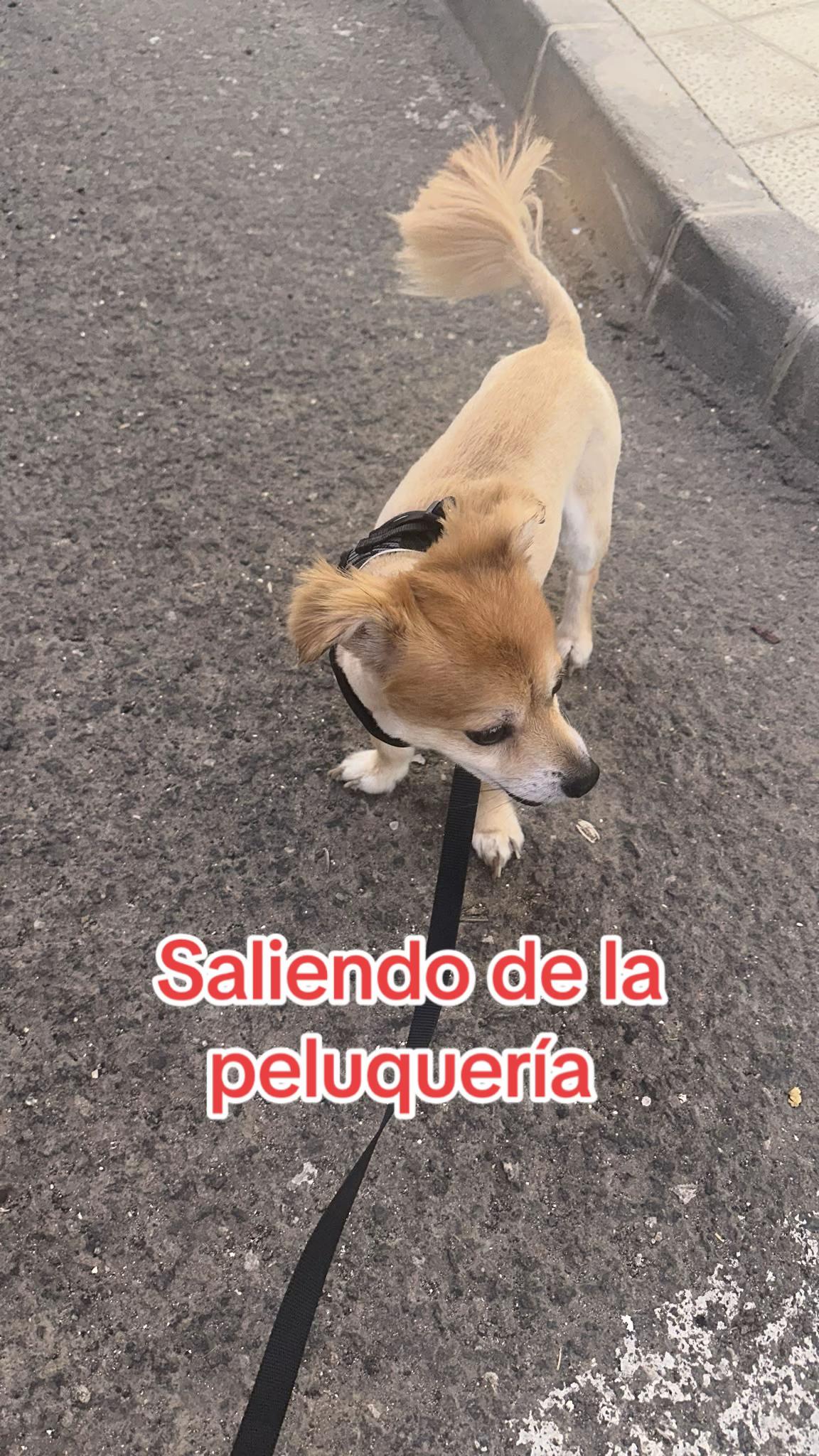 @Lourdes Suárez