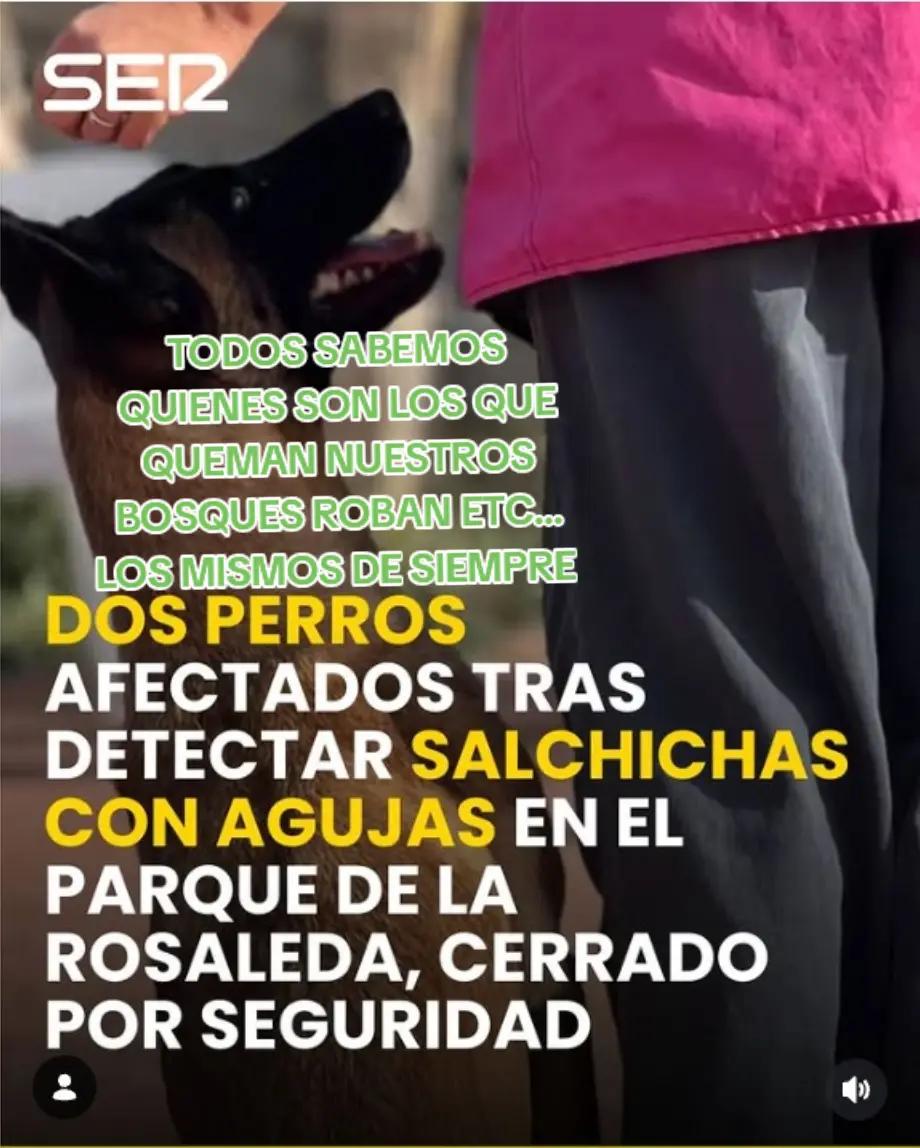 @Guapooprimero