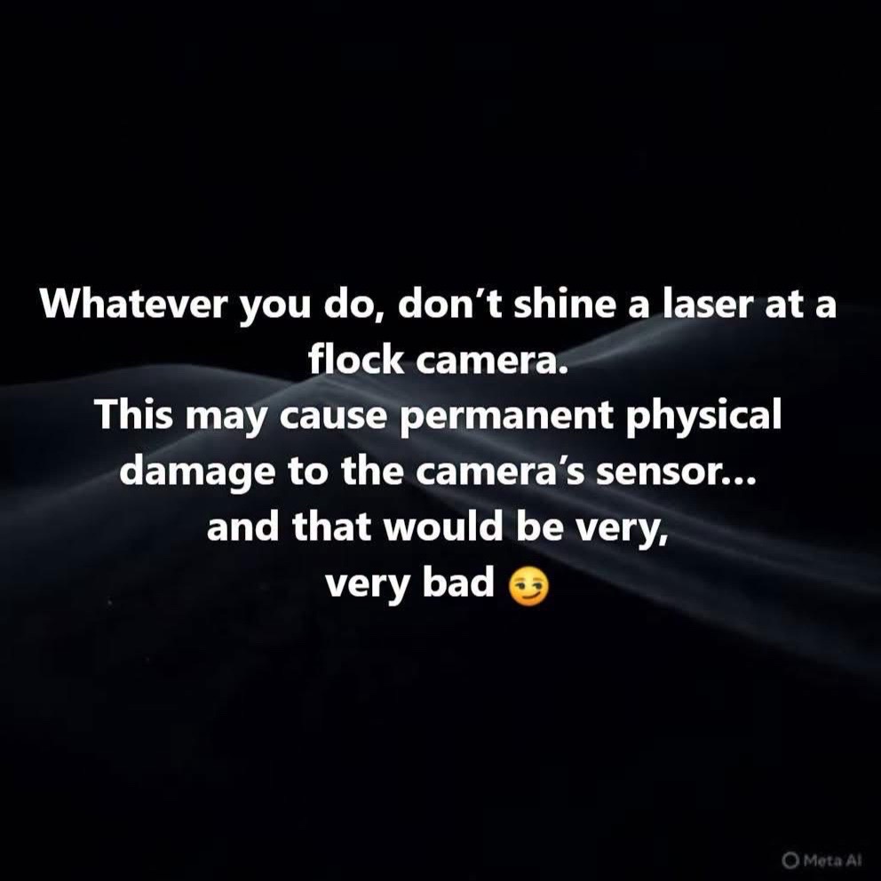 @lynn 🏴💕