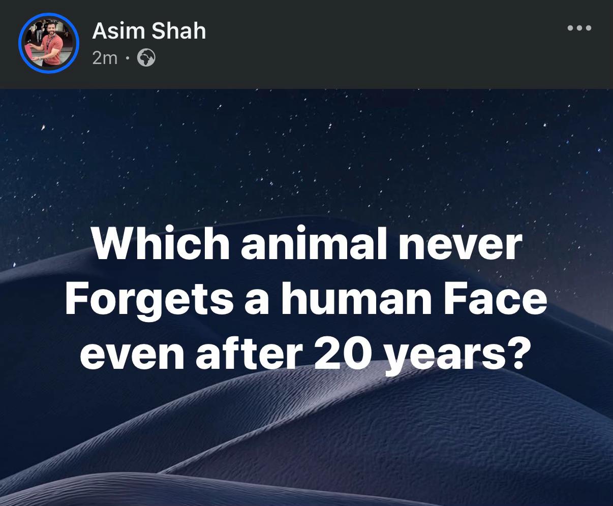 @Shah Speaks🇬🇧