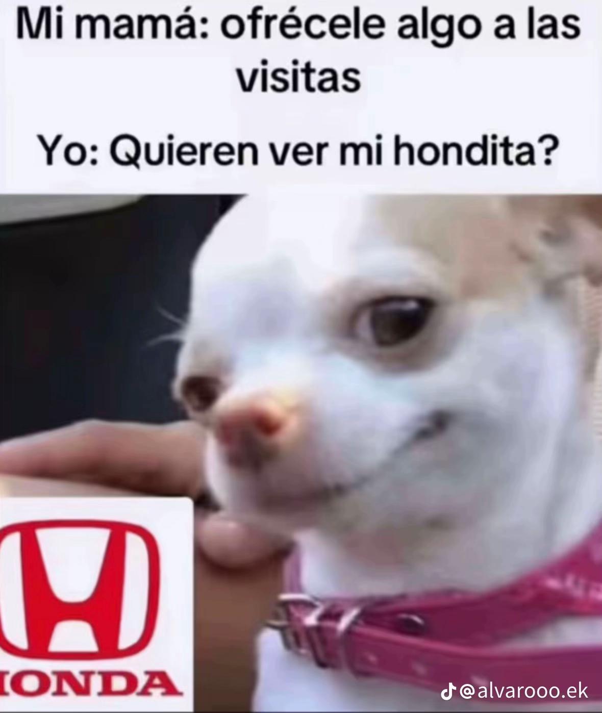 @Hugo 🇮🇨📝